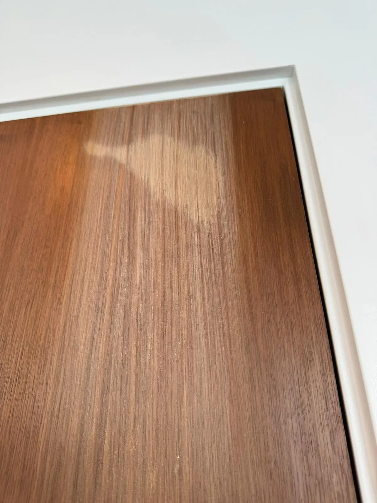 Door Damage Before